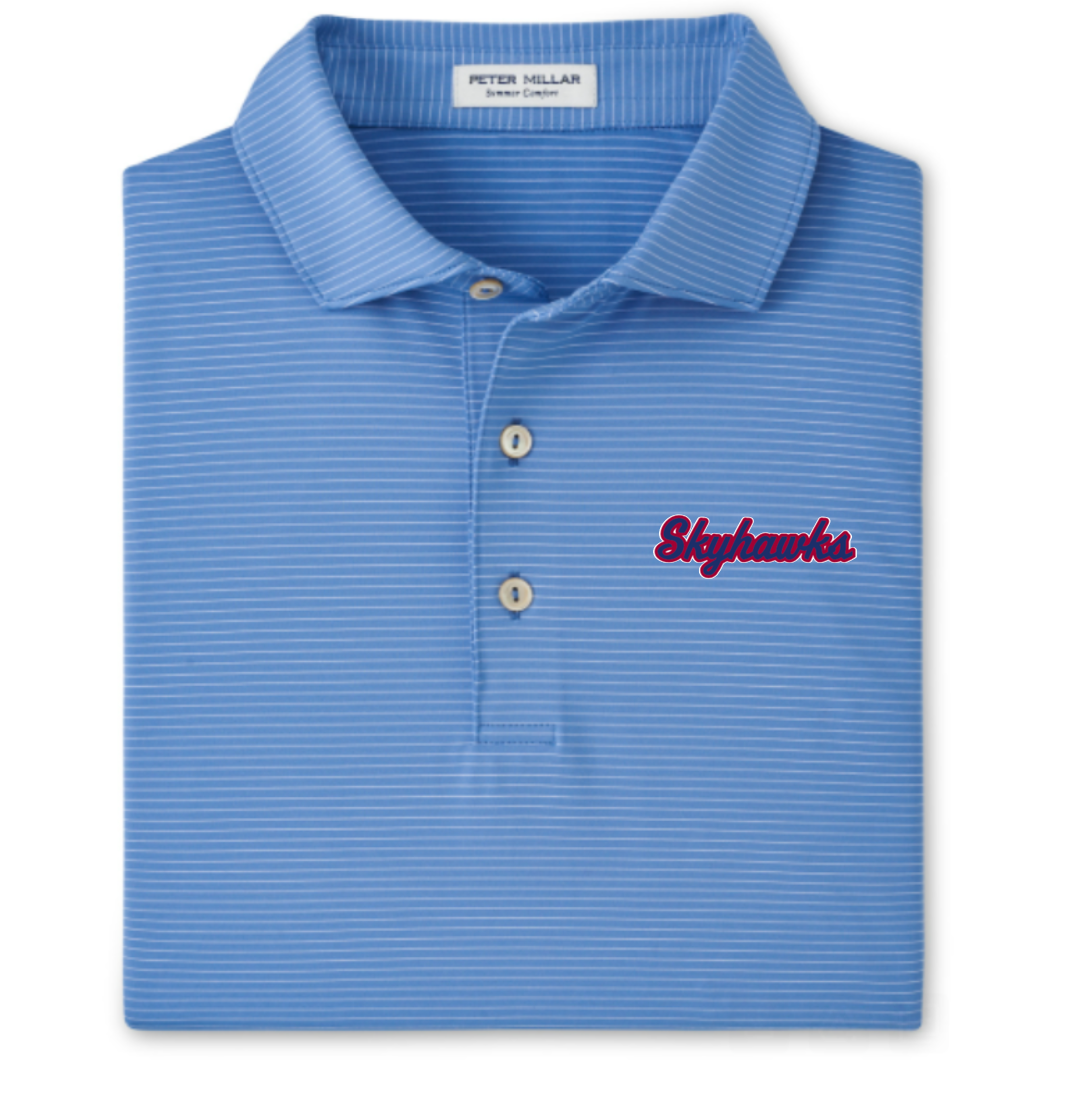 Men's Peter Millar Skyhawk Polo