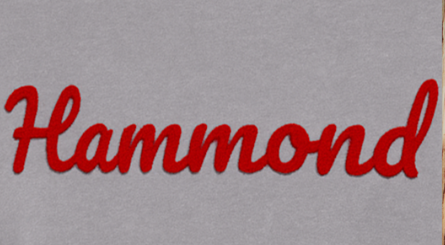 Wool Embroidered Gray Crewneck With Hammond script