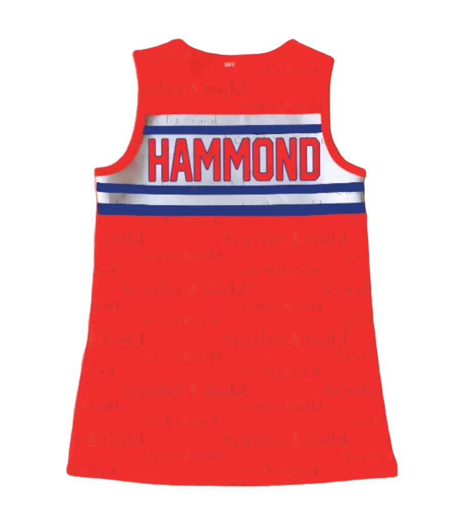 Cheer Dress