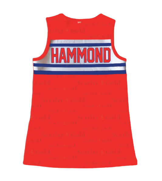Cheer Dress